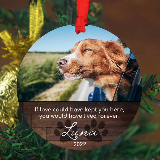 Personalized Pet Sympathy Gift - Christmas Photo Ornament