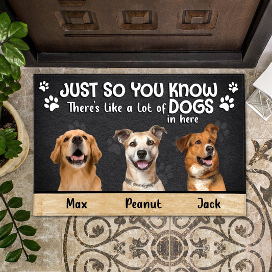 Just So You Know There's Like A Lot Of Pets In Here Doormat - Pet Lover Gift