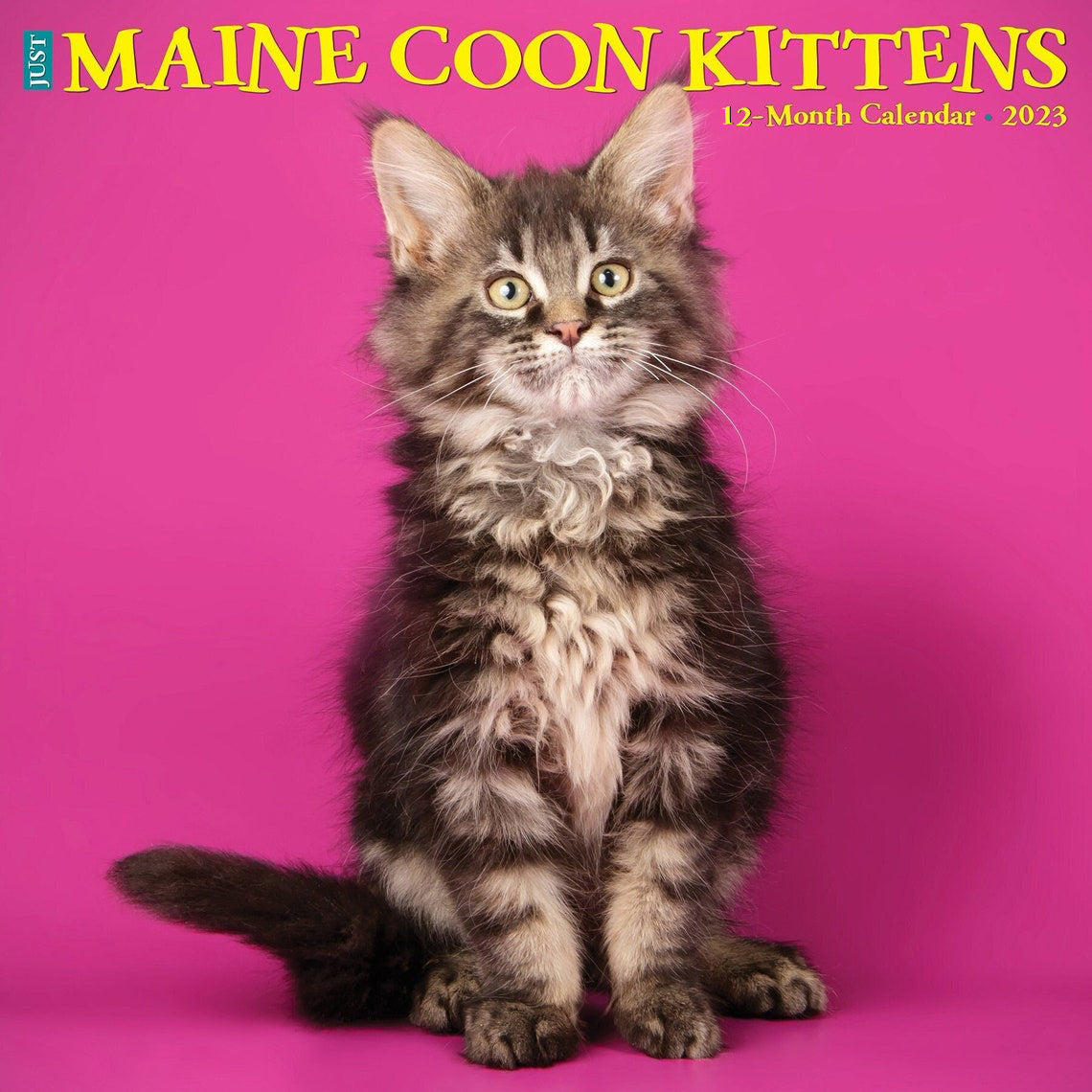 2023 Just Maine Coon Kittens Wall Calendar